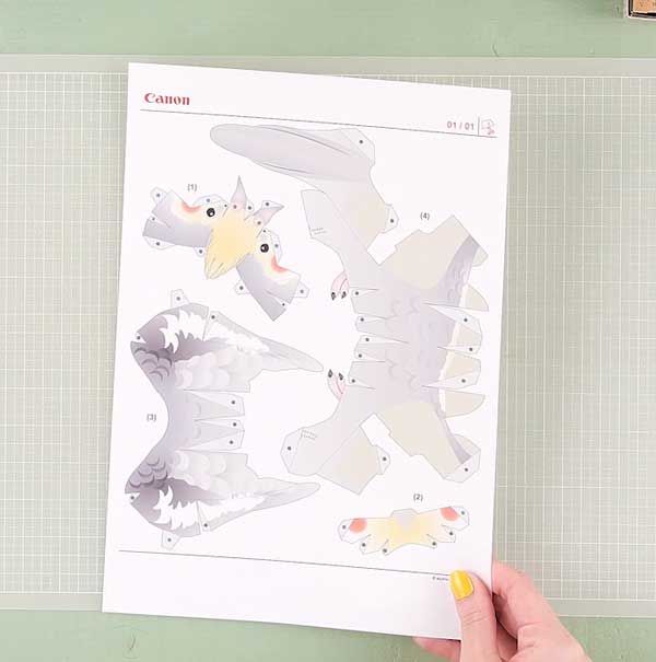 插图：CREATIVE PARK