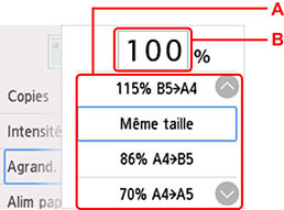 Écran de spécification d'agrandissement