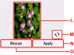 Màn hình xem trước