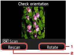 rysunek: Ekran LCD