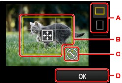 Abbildung: LCD