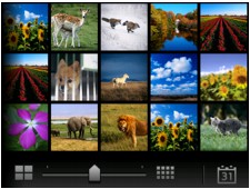 Imagen: pantalla LCD