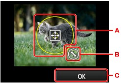 slika: zaslon na dotik