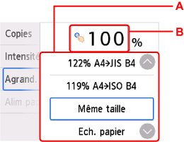 Écran de sélection d'agrandissement