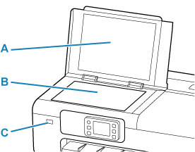 Illustrazione dell'unità di scansione e delle aree circostanti