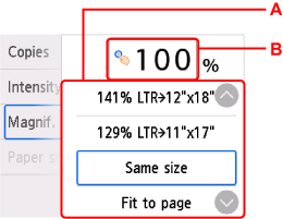 Magnification selection screen
