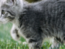 малюнок: РК-дисплей