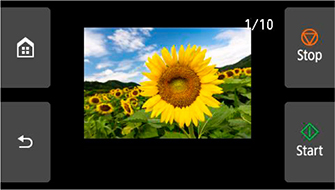 Pantalla Vista preliminar