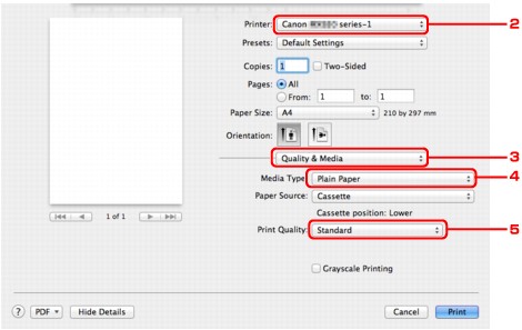 figure:Print dialog