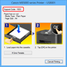 pav.: klaidos pranešimo ekranas