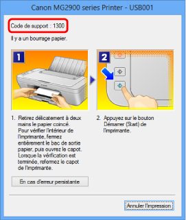 figure : Écran de message d'erreur