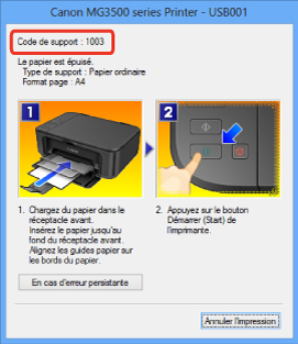 figure : Message d'erreur dans Windows