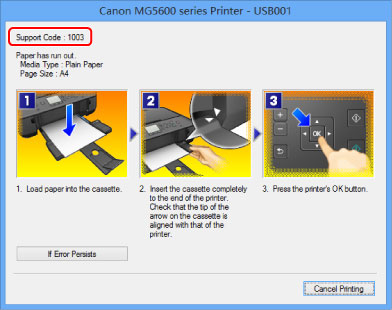 pav.: klaidos pranešimo ekranas