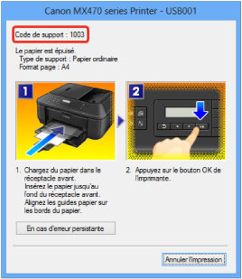 figure : Écran de message d'erreur