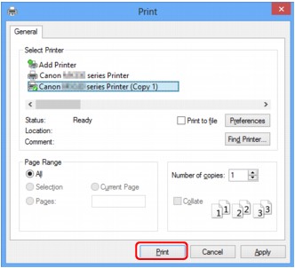 figure:Print dialog box