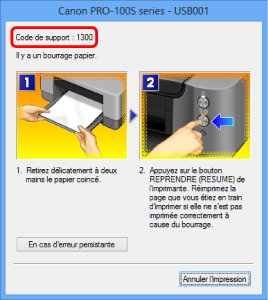 figure : Écran de message d'erreur