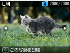 図：液晶ディスプレイ