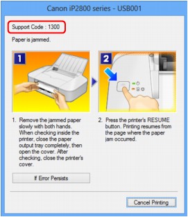 pav.: klaidos pranešimo ekranas