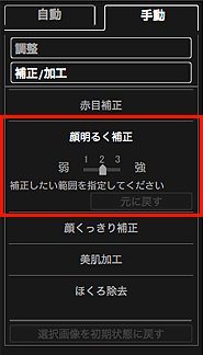 図：画像の補正/加工ウィンドウの手動シート