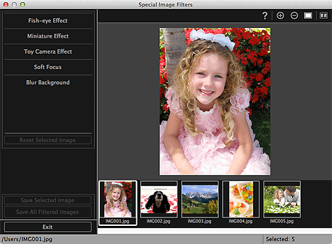 figure: Special Image Filters window