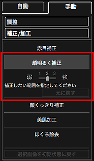 図：画像の補正/加工ウィンドウの手動シート