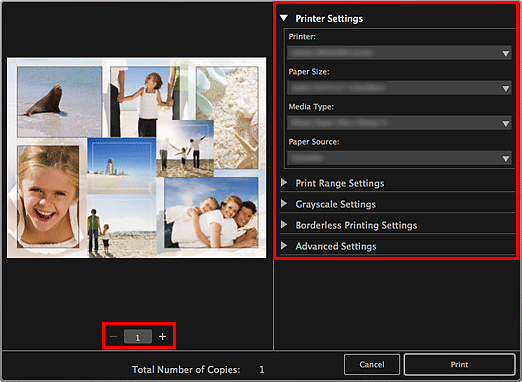 figure: Print settings dialog