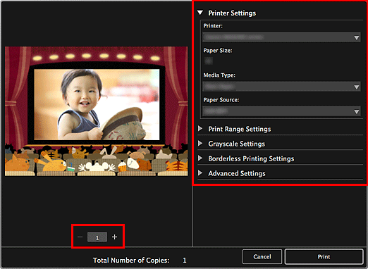 figure: Print settings dialog