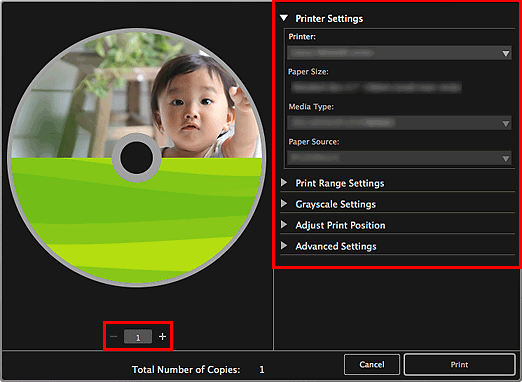 figure: Print settings dialog