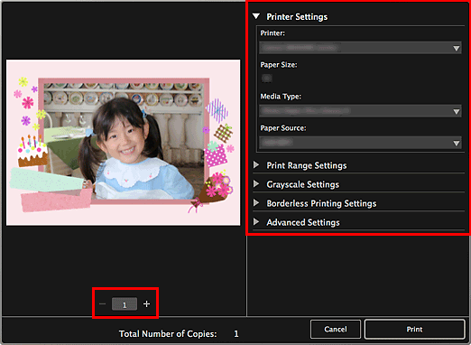 figure: Print settings dialog