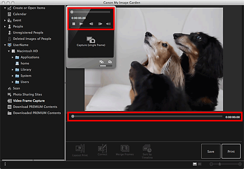 figure: Video Frame Capture view