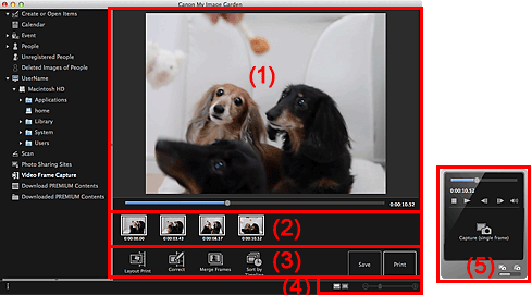 figure: Video Frame Capture view