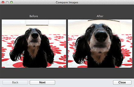 figure: Compare Images window