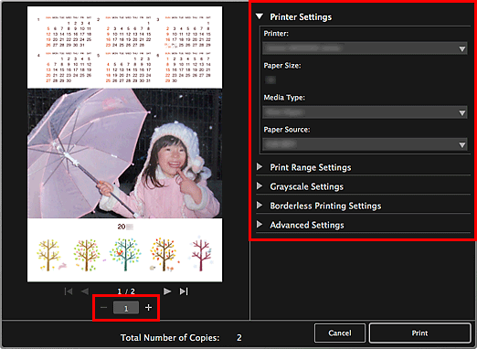 figure: Print settings dialog