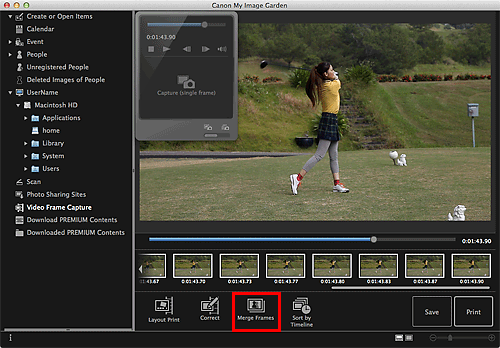 figure: Video Frame Capture view