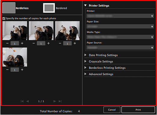 figure: Print settings dialog