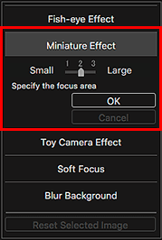 figure: Special Image Filters window