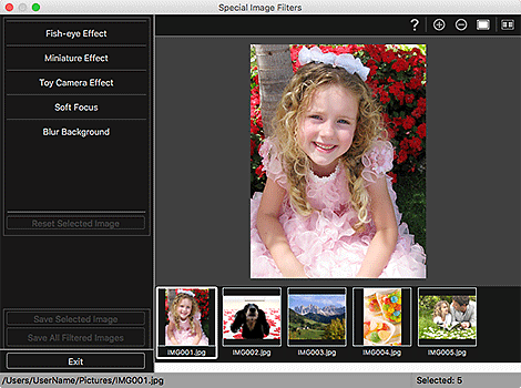 figure: Special Image Filters window