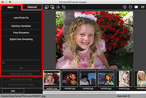 figure: Correct/Enhance Images window Auto tab