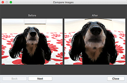 figure: Compare Images window