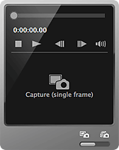 figure: Capture (single frame) panel