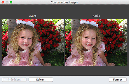 figure : Fenêtre Comparer des images