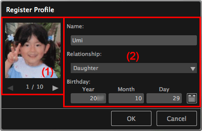 figure: Register Profile dialog