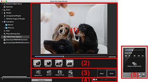 figure: Video Frame Capture view