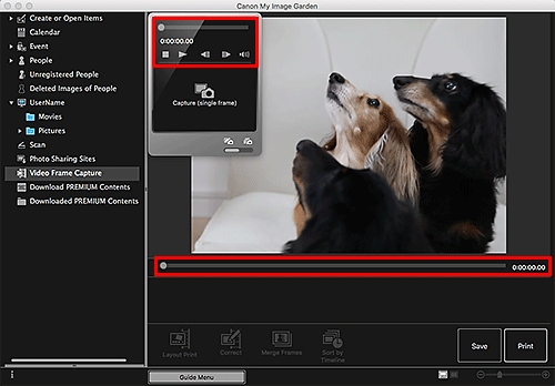 figure: Video Frame Capture view