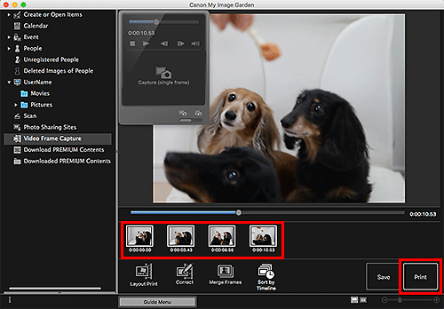 figure: Video Frame Capture view