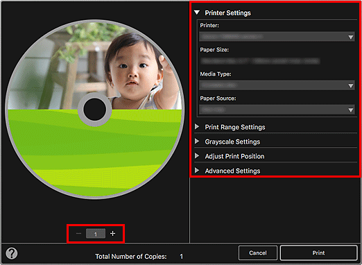 figure: Print Settings dialog