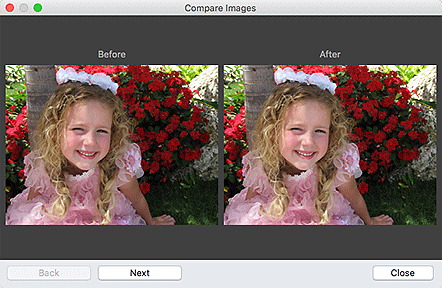 Imagen: ventana Comparar imágenes