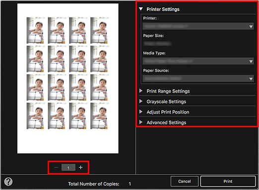 figure: Print Settings dialog