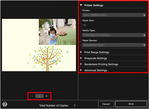 figure: Print Settings dialog