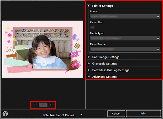 figure: Print Settings dialog